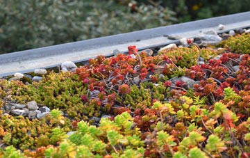 the cost of Woodlane green roof installation